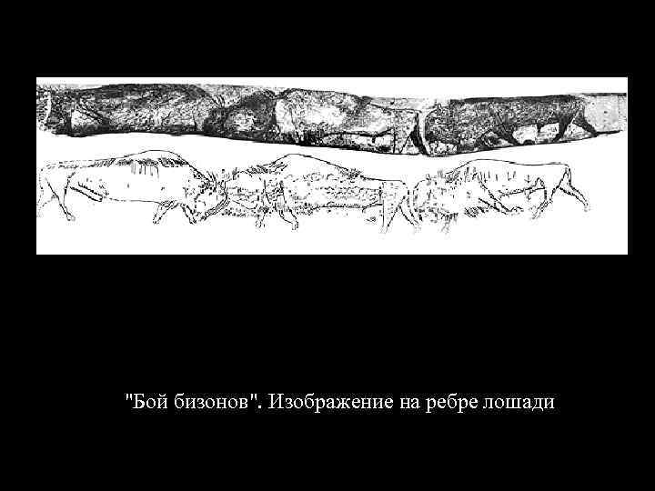 "Бой бизонов". Изображение на ребре лошади 