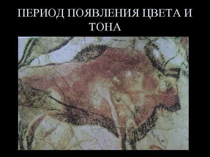 ПЕРИОД ПОЯВЛЕНИЯ ЦВЕТА И ТОНА 