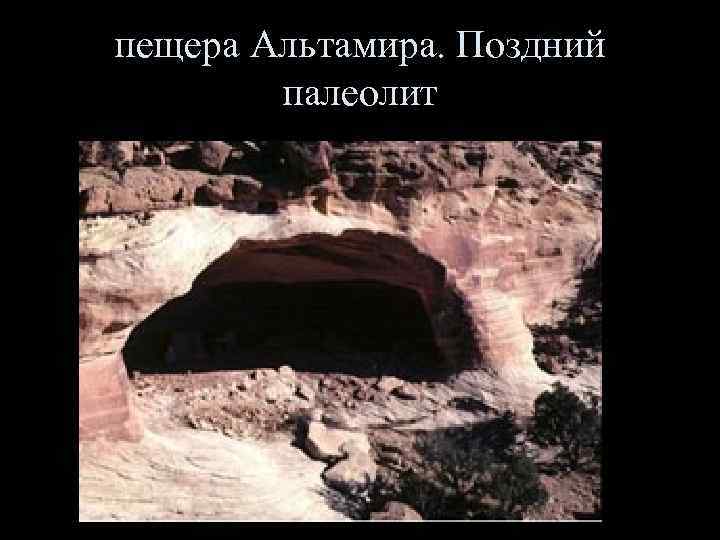 пещера Альтамира. Поздний палеолит 
