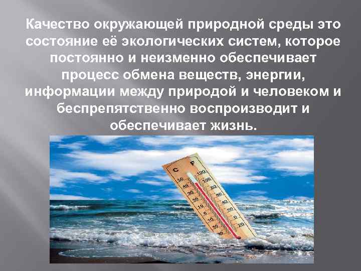 Качество окружающей природной среды это состояние её экологических систем, которое постоянно и неизменно обеспечивает