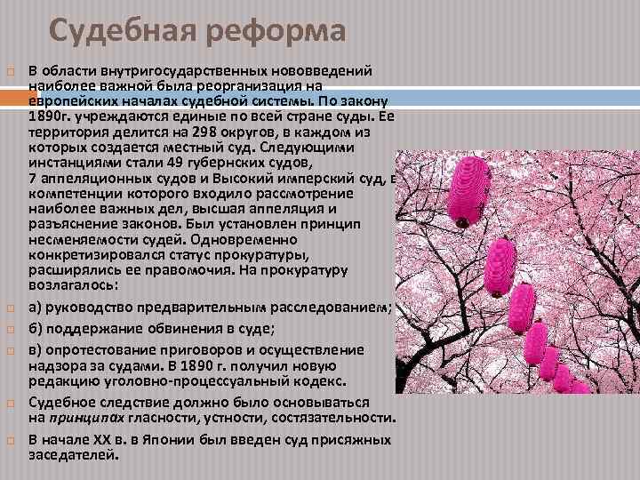 Реформы мэйдзи позволили японии провести модернизацию по западному образцу