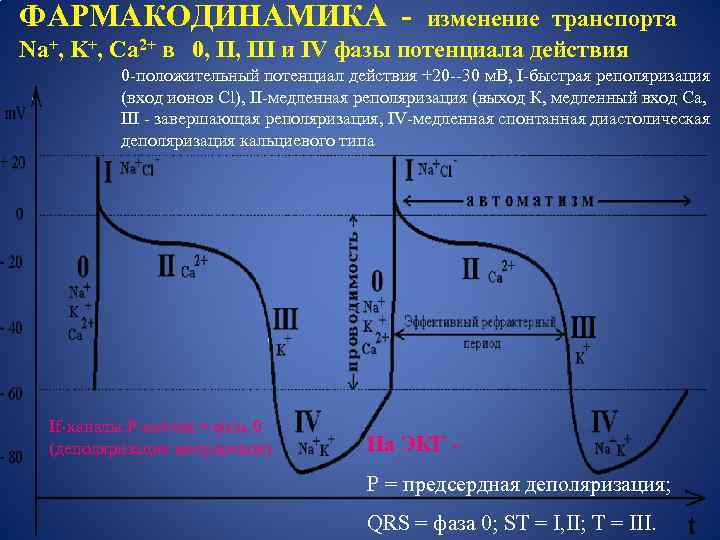 ФАРМАКОДИНАМИКА - изменение транспорта Na+, K+, Ca 2+ в 0, III и IV фазы