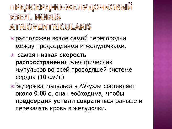  расположен возле самой перегородки между предсердиями и желудочками. самая низкая скорость распространения электрических