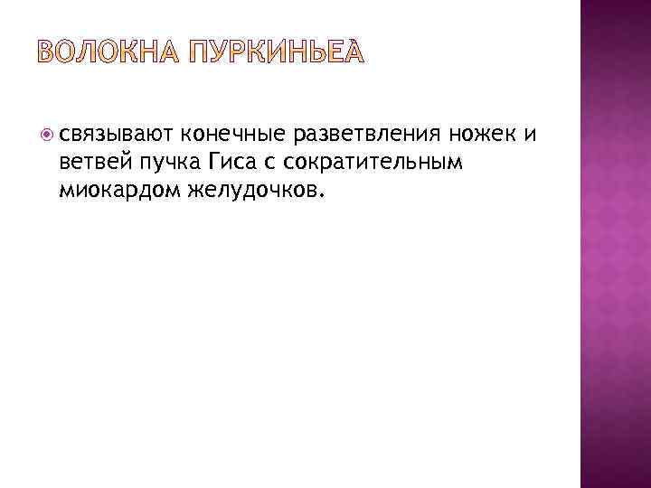  связывают конечные разветвления ножек и ветвей пучка Гиса с сократительным миокардом желудочков. 