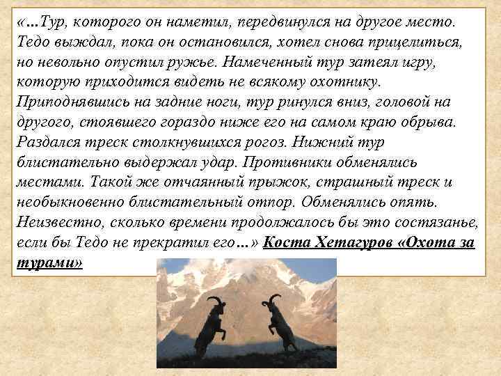  «…Тур, которого он наметил, передвинулся на другое место. Тедо выждал, пока он остановился,