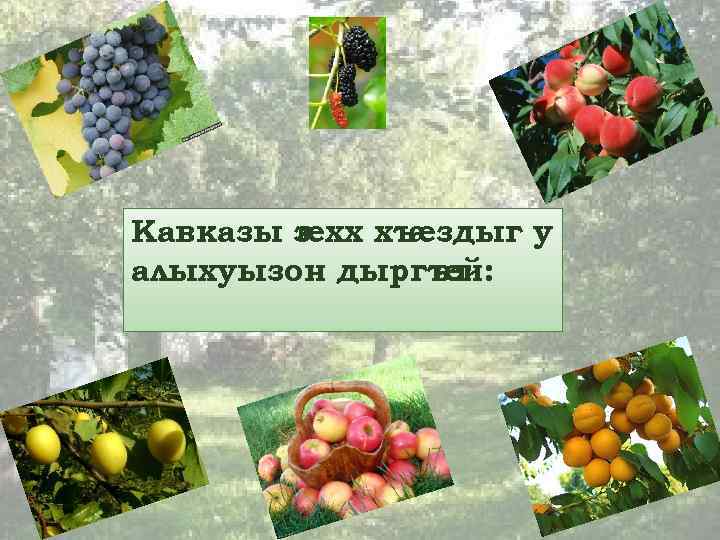 Кавказы з æхх хъ æздыг у алыхуызон дыргът æй: 