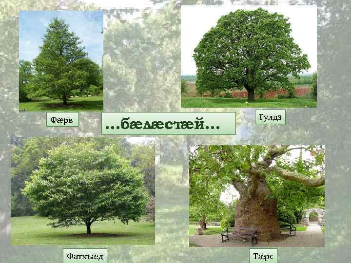 Фæрв Фатхъæд …бæлæстæй… Тулдз Тæрс 