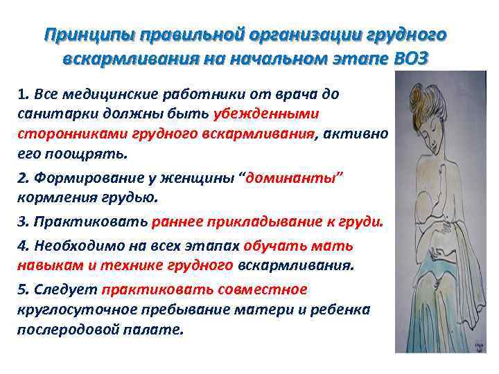 Принципы правильной организации грудного вскармливания на начальном этапе ВОЗ 1. Все медицинские работники от