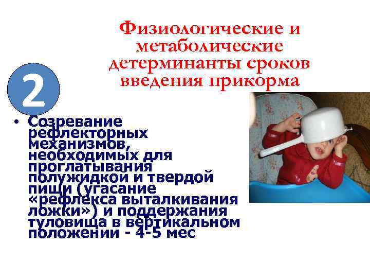 2 Физиологические и метаболические детерминанты сроков введения прикорма • Созревание рефлекторных механизмов, необходимых для