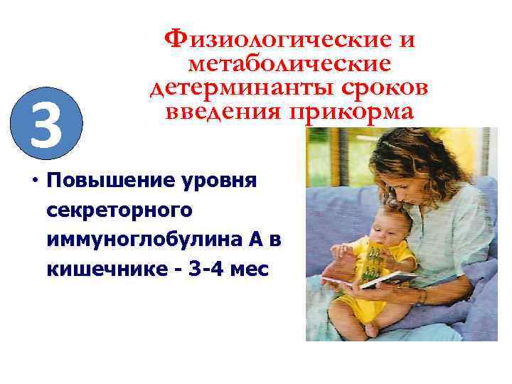 3 Физиологические и метаболические детерминанты сроков введения прикорма • Повышение уровня секреторного иммуноглобулина А