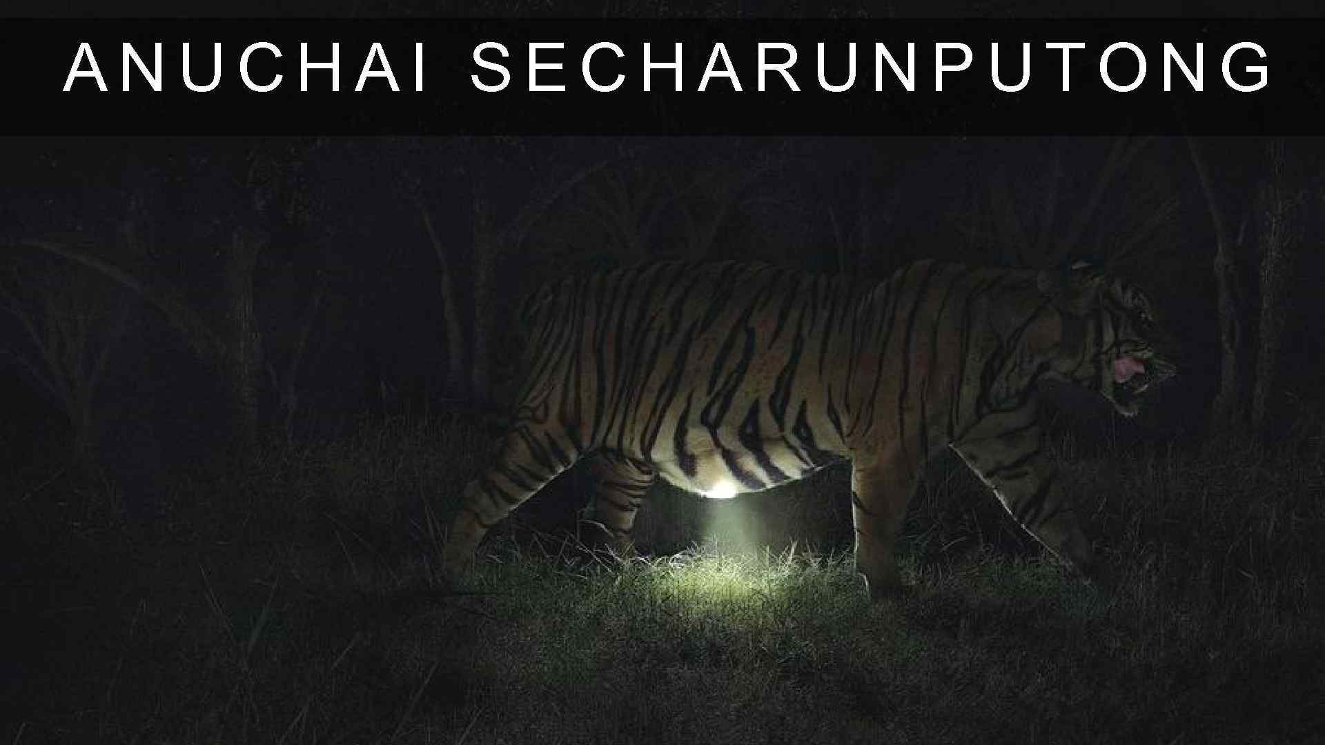 ANUCHAI SECHARUNPUTONG 