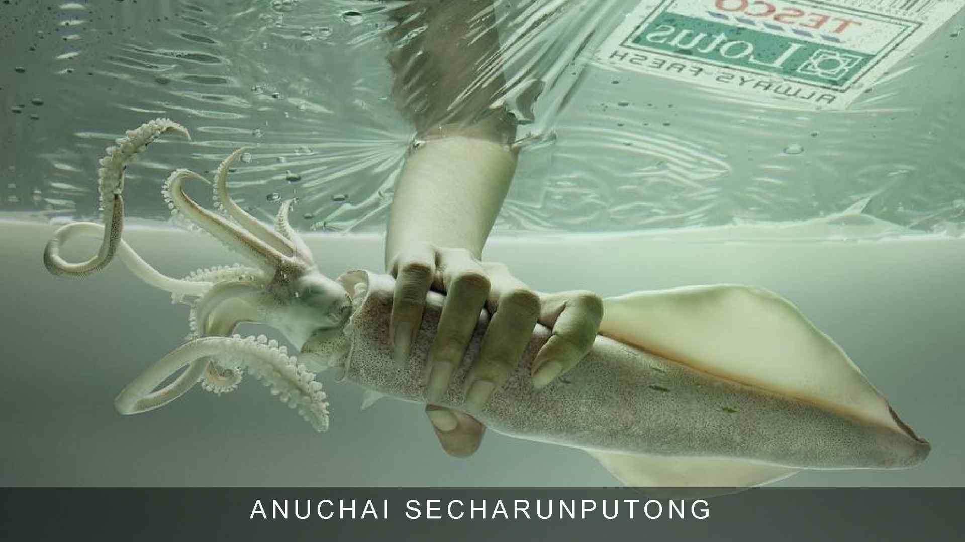 ANUCHAI SECHARUNPUTONG 