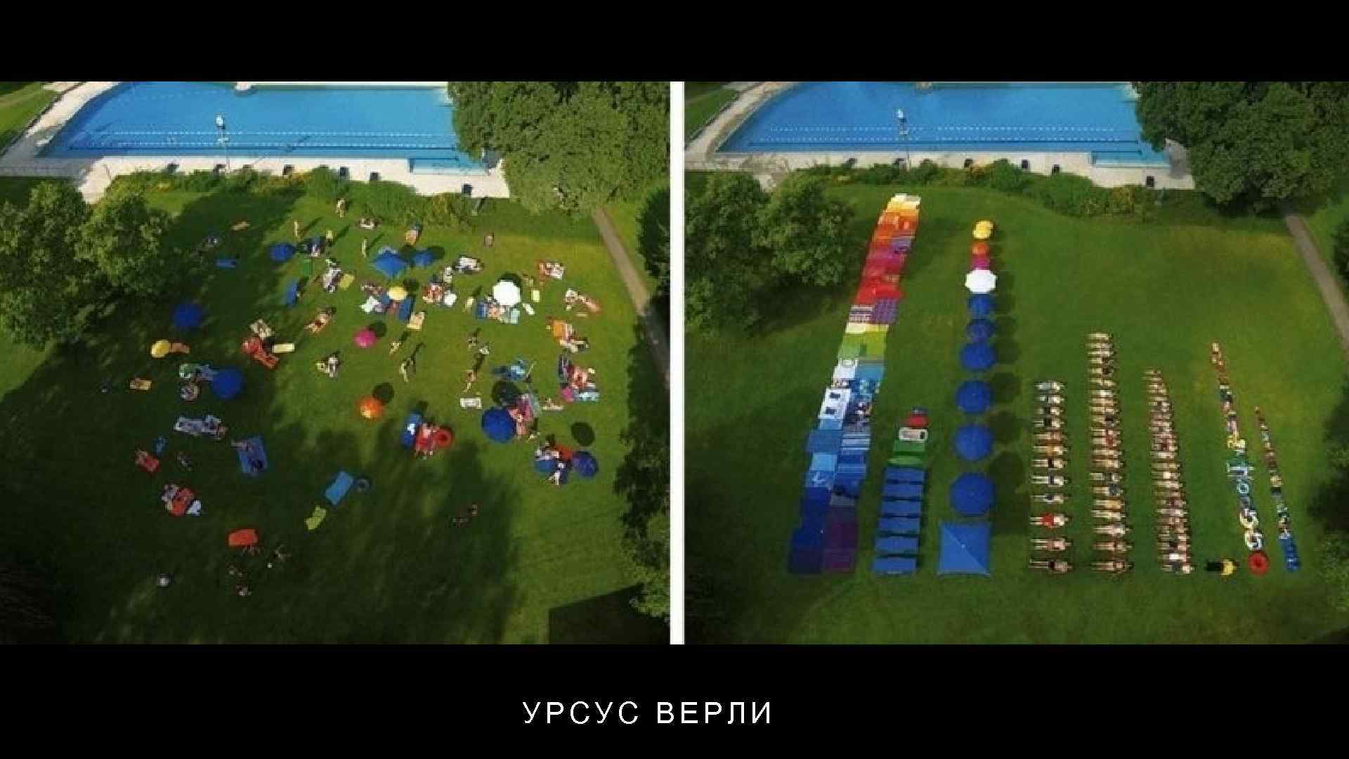 УРСУC ВЕРЛИ 