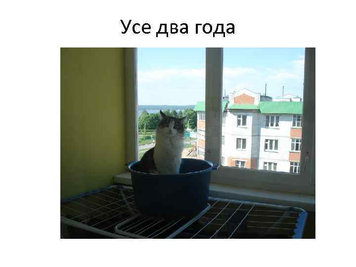 Усе два года 