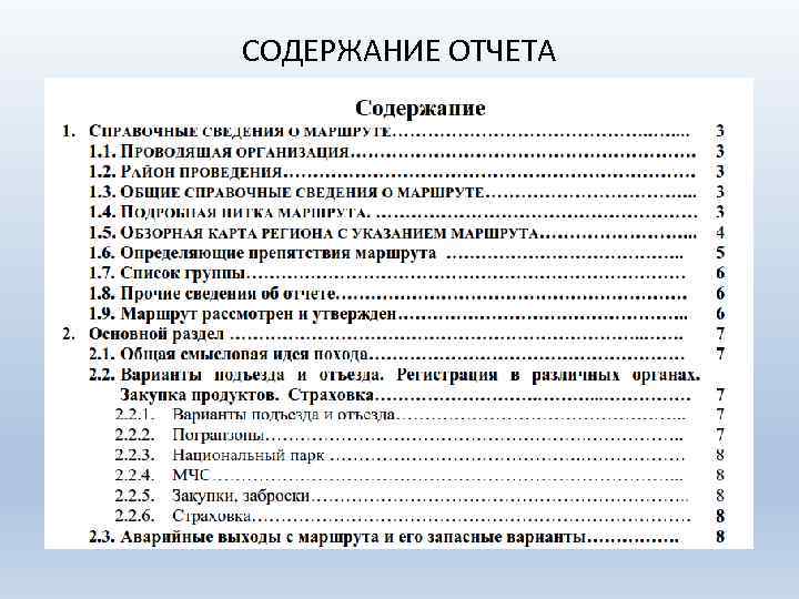 СОДЕРЖАНИЕ ОТЧЕТА 