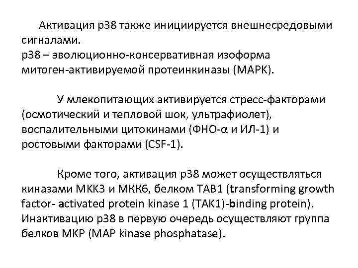 Активация p 38 также инициируется внешнесредовыми сигналами. p 38 – эволюционно-консервативная изоформа митоген-активируемой протеинкиназы