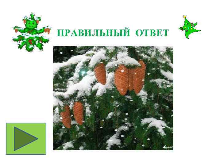 ПРАВИЛЬНЫЙ ОТВЕТ 