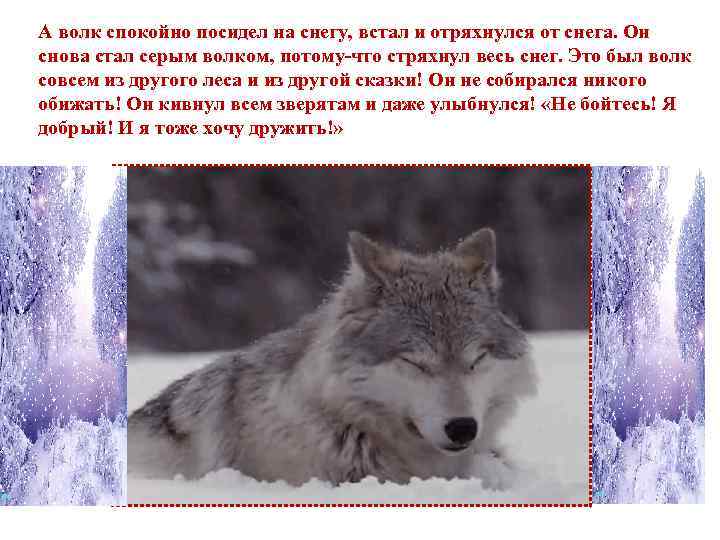 А волк спокойно посидел на снегу, встал и отряхнулся от снега. Он снова стал