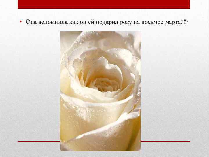  • Она вспомнила как он ей подарил розу на восьмое марта. 
