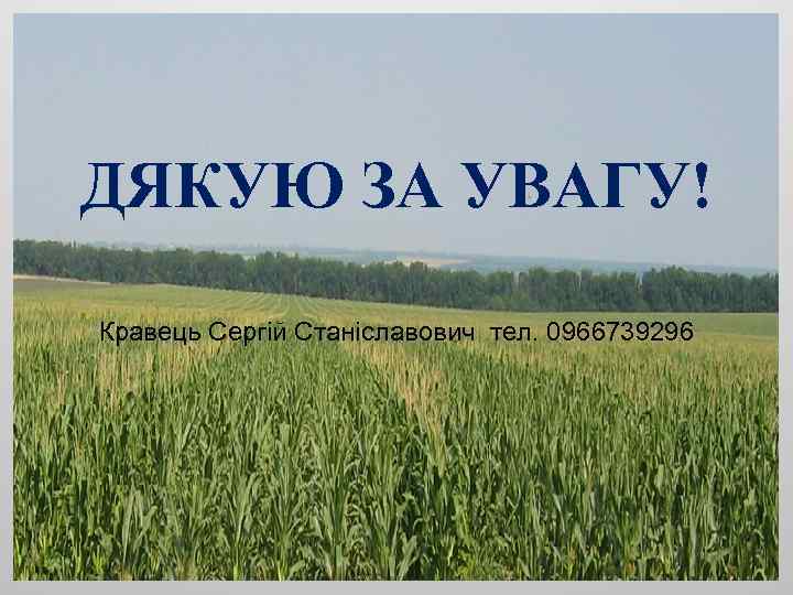 ДЯКУЮ ЗА УВАГУ! Кравець Сергій Станіславович тел. 0966739296 