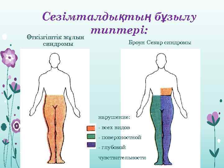 Сезімталдықтың бұзылу типтері: Өткізгіштік жұлын Броун Секар синдромы нарушение: - всех видов - поверхностной