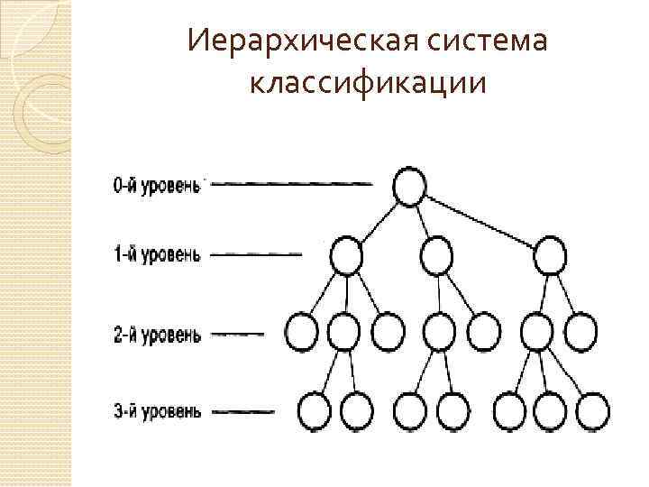 Иерархическая система классификации 