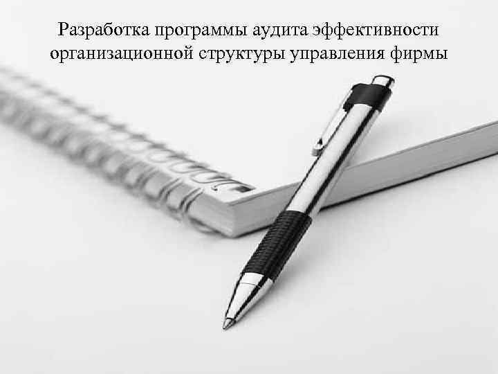 Разработка программы аудита эффективности организационной структуры управления фирмы 