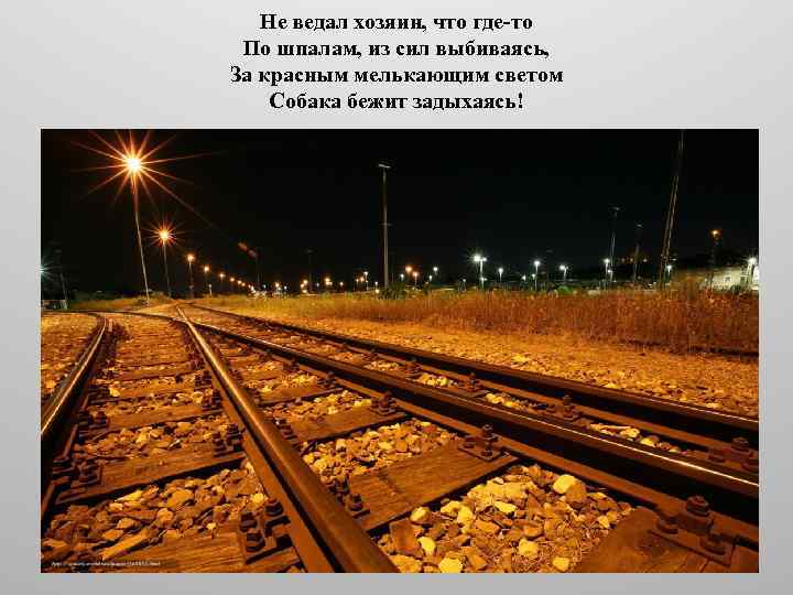 Не ведал хозяин, что где-то По шпалам, из сил выбиваясь, За красным мелькающим светом