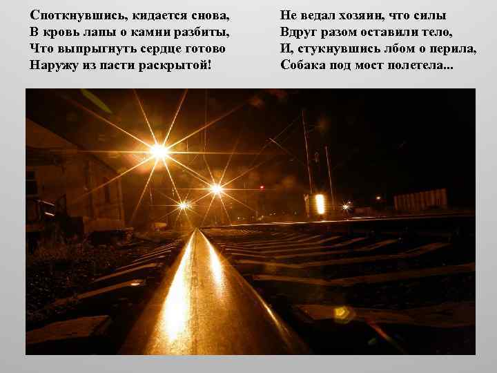 Споткнувшись, кидается снова, В кровь лапы о камни разбиты, Что выпрыгнуть сердце готово Наружу