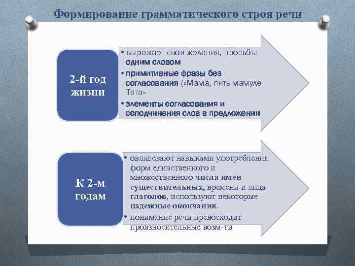 Формирование грамматического строя речи 2 -й год жизни К 2 -м годам • выражает