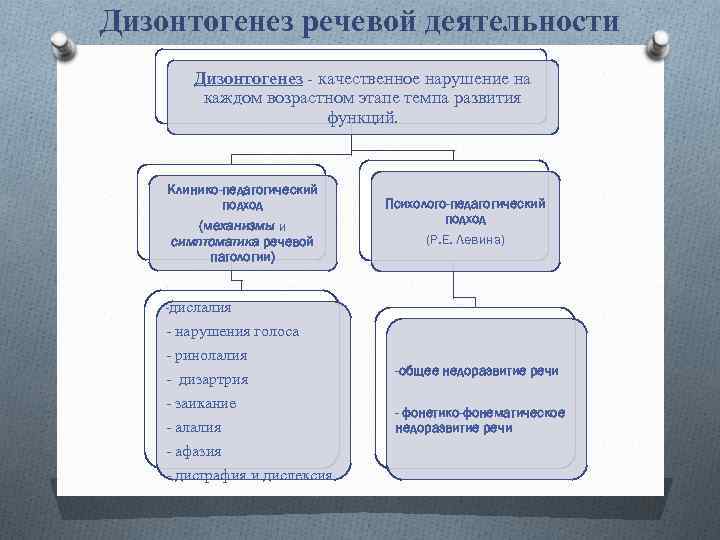 Начальные фазы речевого онтогенеза презентация