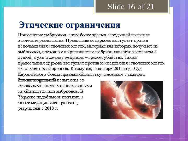 Slide 16 of 21 Этические ограничения Применение эмбрионов, а тем более зрелых зародышей вызывает