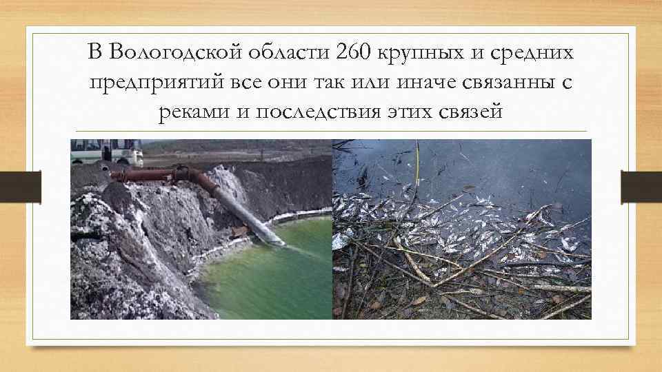 В Вологодской области 260 крупных и средних предприятий все они так или иначе связанны