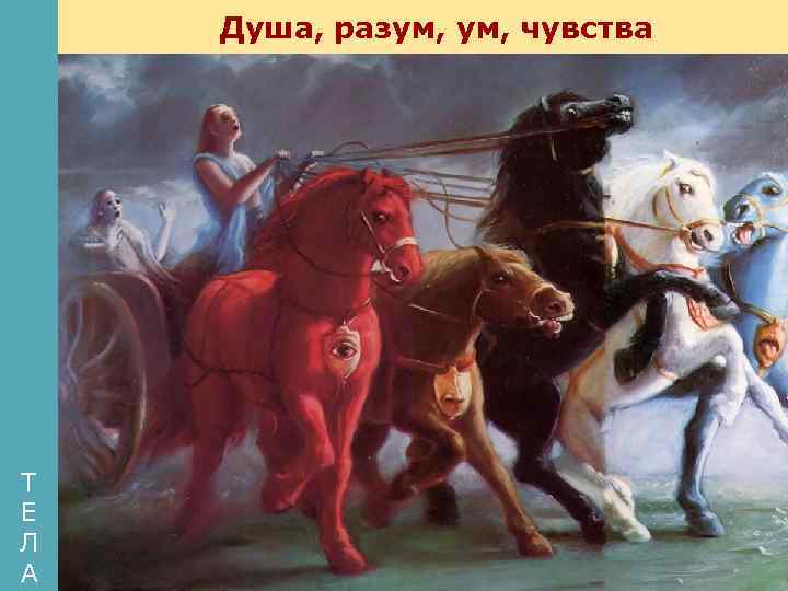 Душа, разум, чувства Т Е Л А 