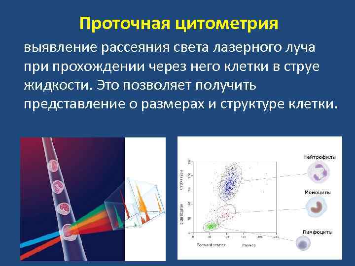 Проточная цитометрия выявление рассеяния света лазерного луча при прохождении через него клетки в струе