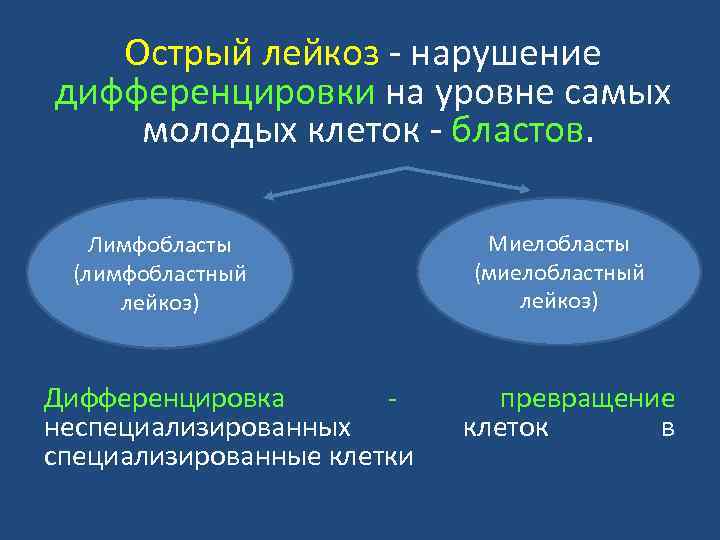 Острый лейкоз нарушение дифференцировки на уровне самых молодых клеток бластов. Лимфобласты (лимфобластный лейкоз) Дифференцировка