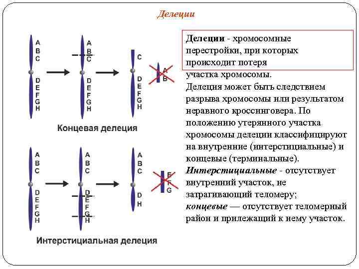 Делеции - хромосомные перестройки, при которых происходит потеря участка хромосомы. Делеция может быть следствием