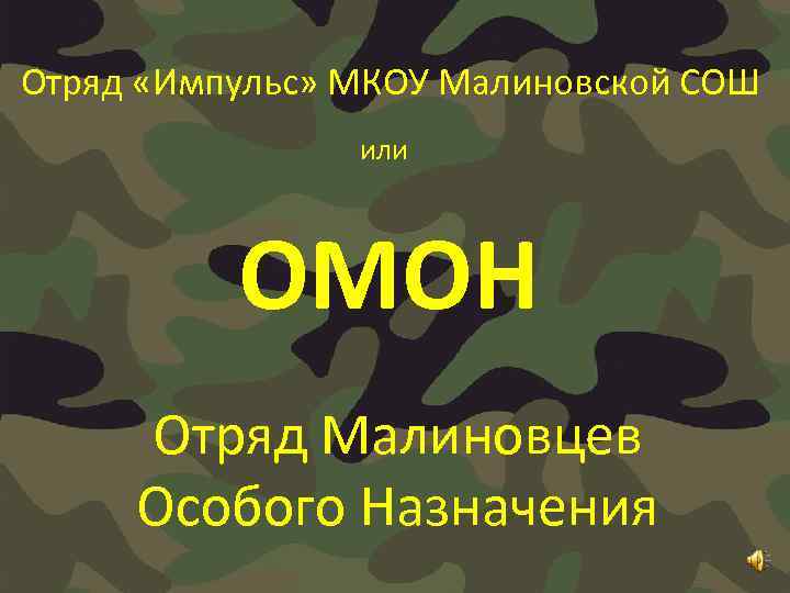 Отряд «Импульс» МКОУ Малиновской СОШ или ОМОН Отряд Малиновцев Особого Назначения 