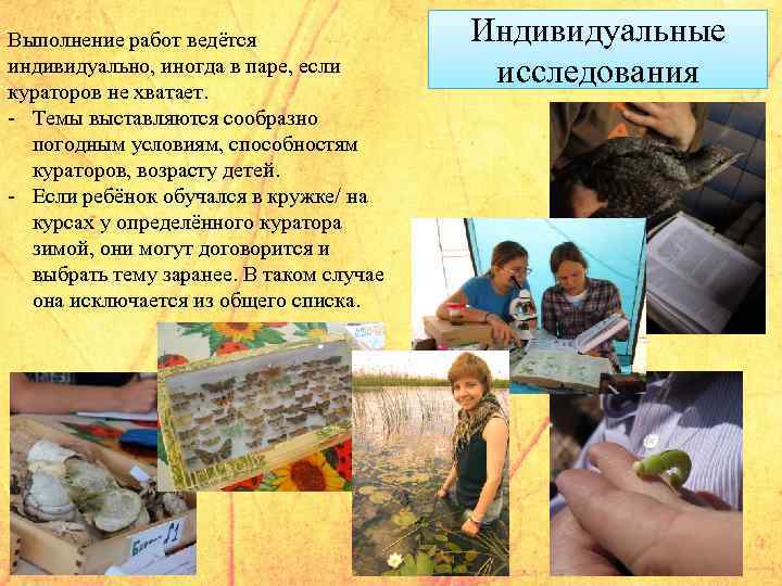 Выполнение работ ведётся индивидуально, иногда в паре, если кураторов не хватает. - Темы выставляются