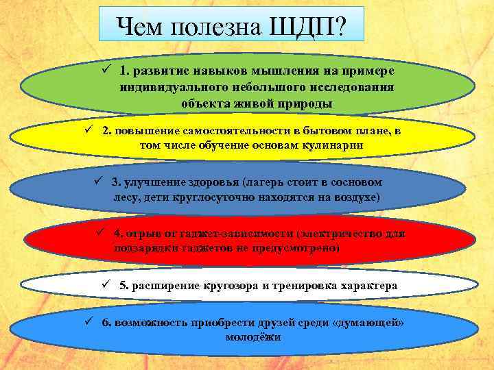 Чем полезна ШДП? ü 1. развитие навыков мышления на примере индивидуального небольшого исследования объекта