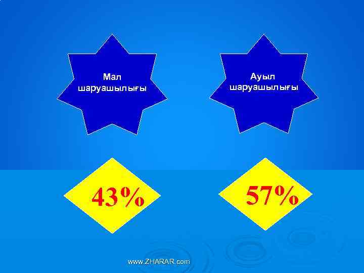 Мал шаруашылығы Ауыл шаруашылығы 43% 57% www. ZHARAR. com 