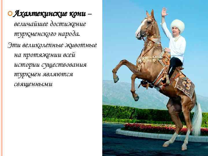  Ахалтекинские кони – величайшее достижение туркменского народа. Эти великолепные животные на протяжении всей