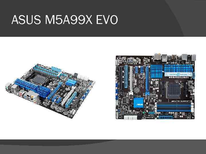 ASUS M 5 A 99 X EVO 