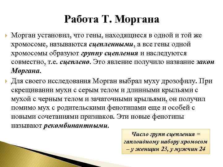 Работа Т. Моргана Морган установил, что гены, находящиеся в одной и той же хромосоме,