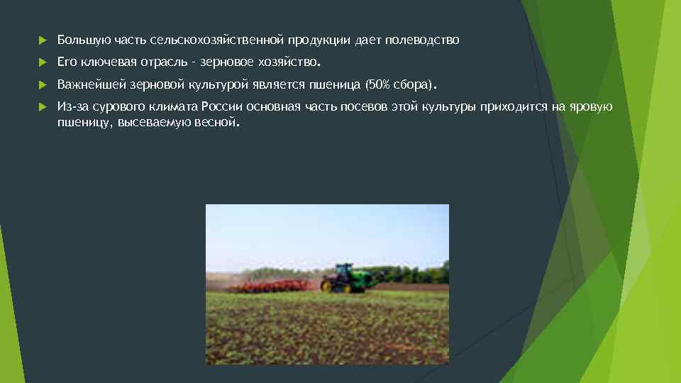  Большую часть сельскохозяйственной продукции дает полеводство Его ключевая отрасль – зерновое хозяйство. Важнейшей