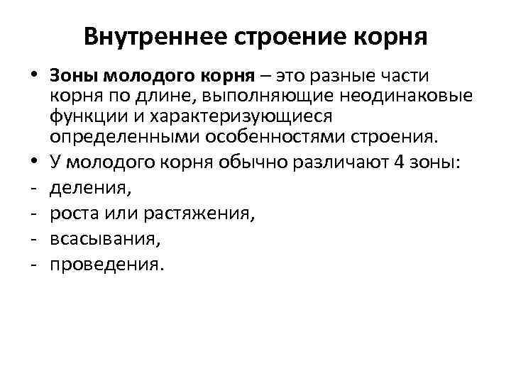 Внутреннее строение корня • Зоны молодого корня – это разные части корня по длине,