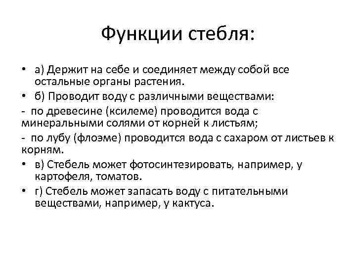 Функции стебля: • а) Держит на себе и соединяет между собой все остальные органы