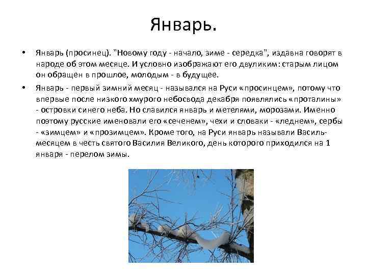 Изменения января. Сезонные изменения в январе. Изменения в природе в январе. Перелом зимы какой месяц. Январь перелом зимы.