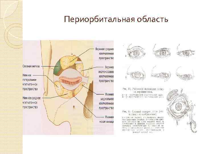 Ушиб века и окологлазничной области карта вызова