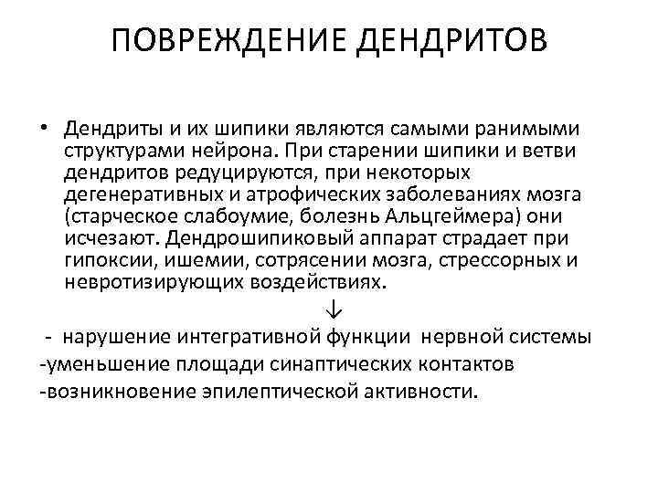 ПОВРЕЖДЕНИЕ ДЕНДРИТОВ • Дендриты и их шипики являются самыми ранимыми структурами нейрона. При старении